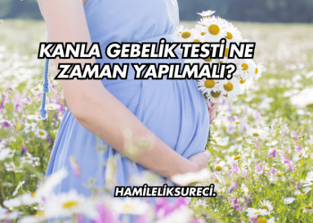 Kanla Gebelik Testi Ne Zaman Yapılmalı?