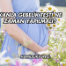 Kanla Gebelik Testi Ne Zaman Yapılmalı?