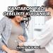 Kantaron Yağı Gebelikte Kullanılır mı?