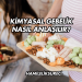 Kimyasal Gebelik Nasıl Anlaşılır?