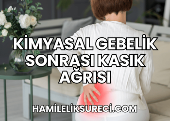 Kimyasal Gebelik Sonrası Kasık Ağrısı