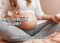 Mol Gebelik Nedir?
