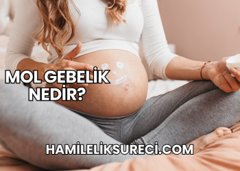 Mol Gebelik Nedir?