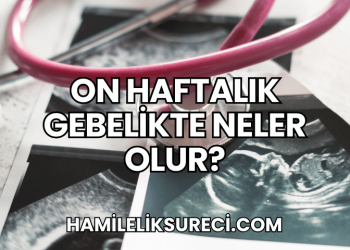 On Haftalık Gebelikte Neler Olur?