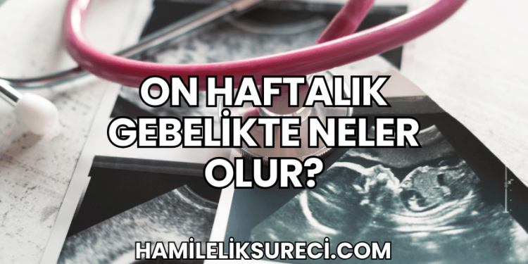 On Haftalık Gebelikte Neler Olur?
