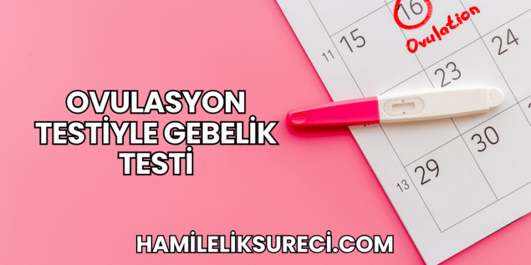 Ovulasyon Testiyle Gebelik Testi
