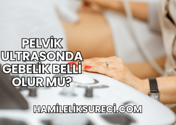 Pelvik Ultrasonda Gebelik Belli Olur mu?