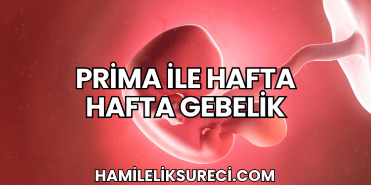Prima ile Hafta Hafta Gebelik