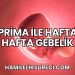 Prima ile Hafta Hafta Gebelik