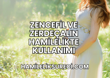 Zencefil ve Zerdeçalın Hamilelikte Kullanımı