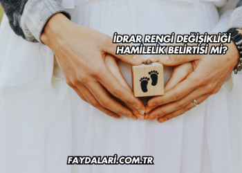 İdrar Rengi Değişikliği Hamilelik Belirtisi mi?