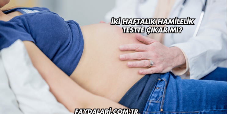 İki Haftalık Hamilelik Testte Çıkar mı?