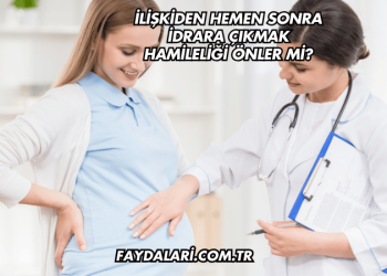 İlişkiden Hemen Sonra İdrara Çıkmak Hamileliği Önler mi?