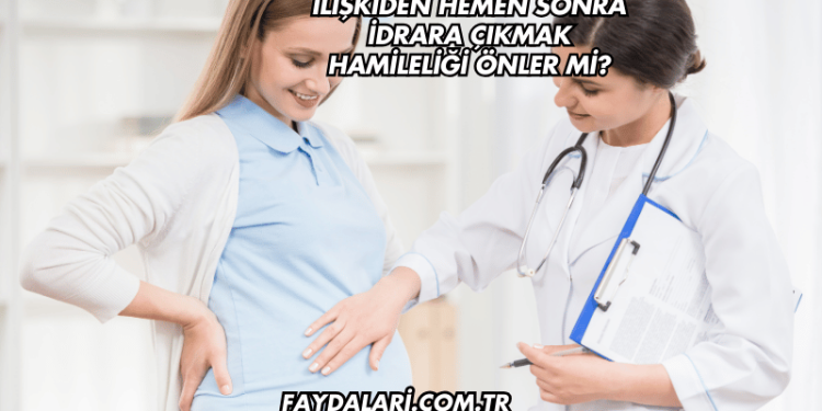 İlişkiden Hemen Sonra İdrara Çıkmak Hamileliği Önler mi?
