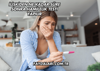 İlişkiden Ne Kadar Süre Sonra Hamilelik Testi Yapılır