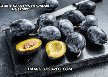 Hamilelikte Kara Erik Faydaları Nelerdir?