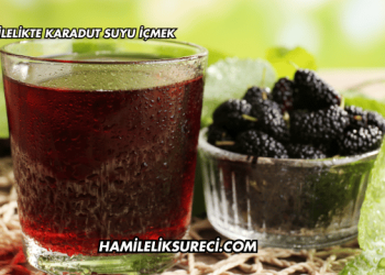 Hamilelikte Karadut Suyu İçmek