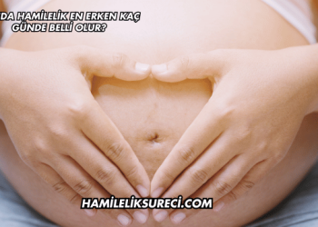 Kanda Hamilelik En Erken Kaç Günde Belli Olur?