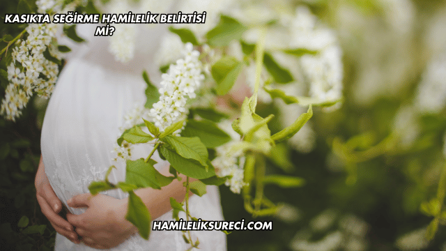 Kasıkta Seğirme Hamilelik Belirtisi mi?