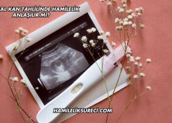 Normal Kan Tahlilinde Hamilelik Anlaşılır mı?