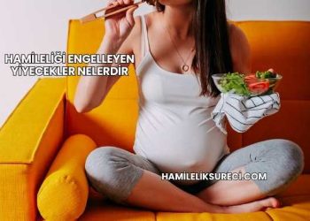 Hamileliği Engelleyen Yiyecekler Nelerdir