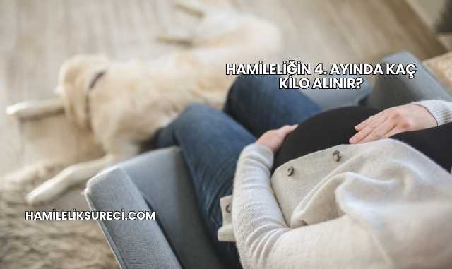 Hamileliğin 4. Ayında Kaç Kilo Alınır?