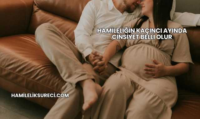Hamileliğin Kaçıncı Ayında Cinsiyet Belli Olur