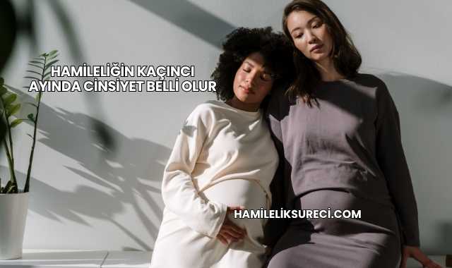 Hamileliğin Kaçıncı Ayında Cinsiyet Belli Olur