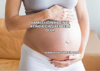 Hamileliğin Kaçıncı Ayında Cinsiyet Belli Olur