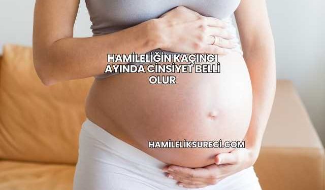 Hamileliğin Kaçıncı Ayında Cinsiyet Belli Olur
