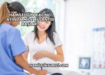 Hamileliğin Kaçıncı Ayında Mide Bulantısı Başlar?