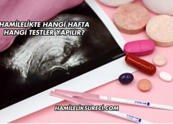 Hamilelikte Hangi Hafta Hangi Testler Yapılır?