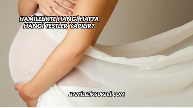 Hamilelikte Hangi Hafta Hangi Testler Yapılır?