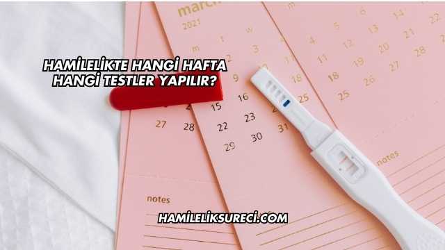 Hamilelikte Hangi Hafta Hangi Testler Yapılır?