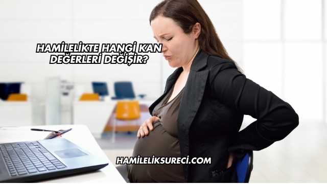 Hamilelikte Hangi Kan Değerleri Değişir?