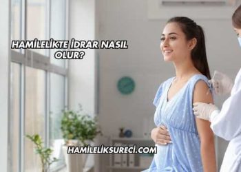 Hamilelikte İdrar Nasıl Olur?