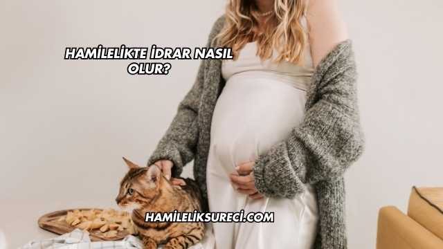 Hamilelikte İdrar Nasıl Olur?