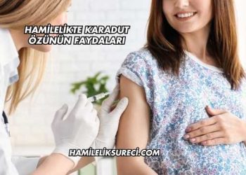 Hamilelikte Karadut Özünün Faydaları