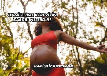 Hamilelikte Kerevizin Zararı Nelerdir?