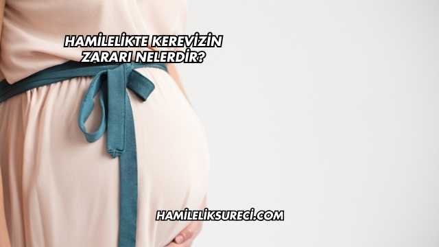Hamilelikte Kerevizin Zararı Nelerdir?