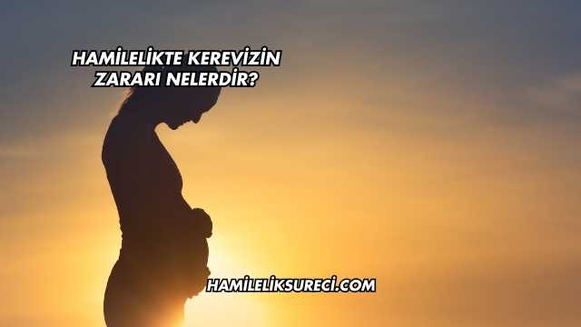 Hamilelikte Kerevizin Zararı Nelerdir?