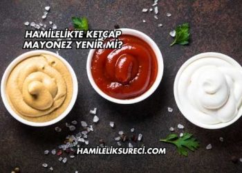 Hamilelikte Ketçap Mayonez Yenir mi?