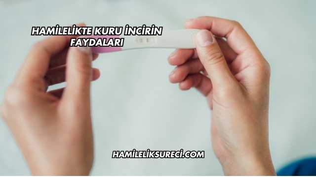 Hamilelikte Kuru İncirin Faydaları