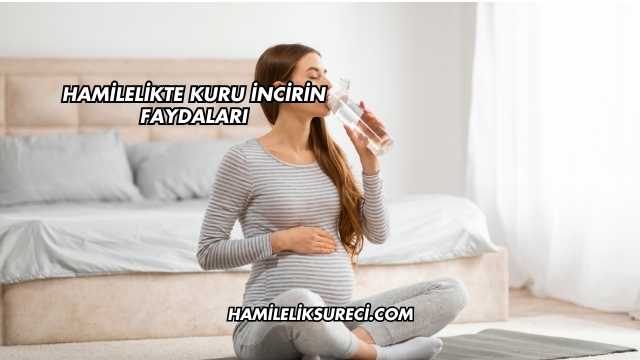 Hamilelikte Kuru İncirin Faydaları