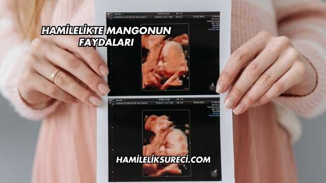 Hamilelikte Mangonun Faydaları