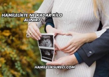 Hamilelikte Ne Kadar Kilo Alınır?