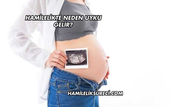 Hamilelikte Neden Uyku Gelir?