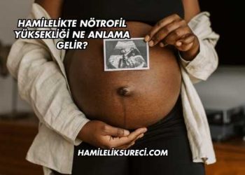 Hamilelikte Nötrofil Yüksekliği Ne Anlama Gelir?