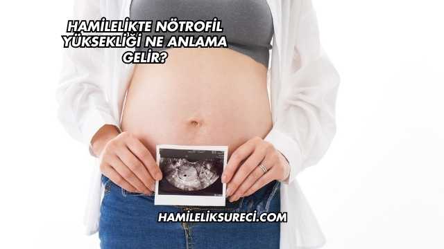 Hamilelikte Nötrofil Yüksekliği Ne Anlama Gelir?