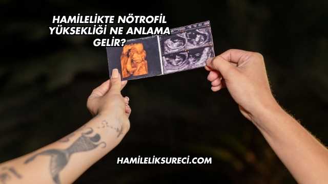Hamilelikte Nötrofil Yüksekliği Ne Anlama Gelir?